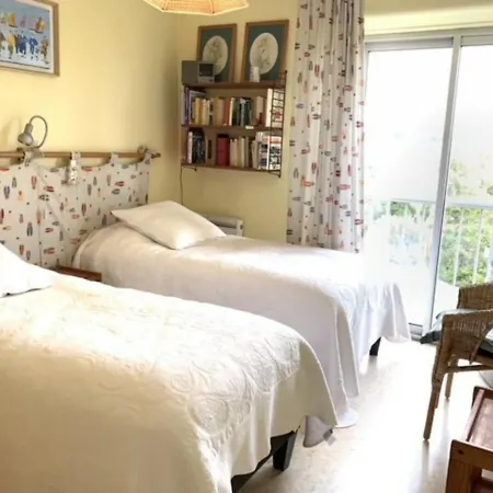 Apartment Bel Lumineux Avec Balcon, Proche Thermes, 1 Chambre, Animaux Admis, Wifi - Fr-1-503-72